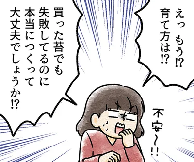 苔玉やアクアリウムも。作品によって育て方も変わる苔の魅力／苔テラリウムはじめました（4）