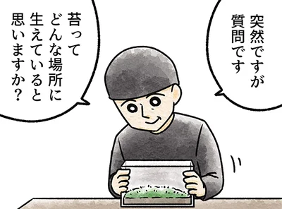 「日陰」といっても光合成は大事。苔が育ちやすい環境と、室内管理のコツ／苔テラリウムはじめました（5）