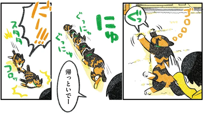 帰っといでー