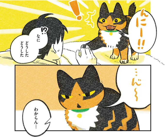 どうしたどうした
