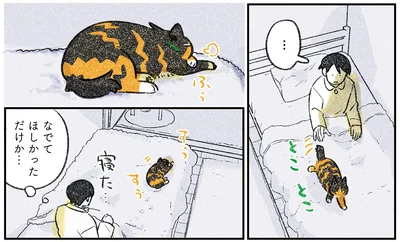 なでてほしかっただけか…