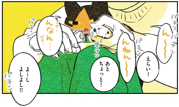 えらい！