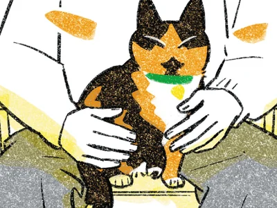 猫を膝の上に…