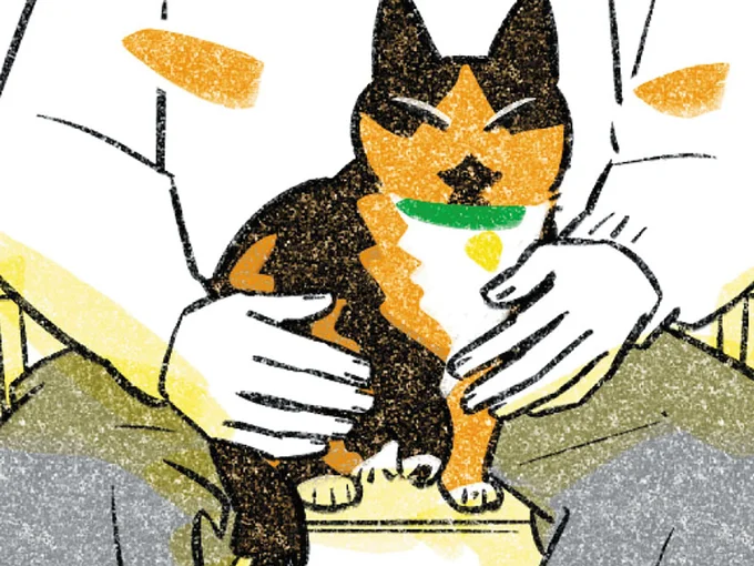 猫を膝の上に…