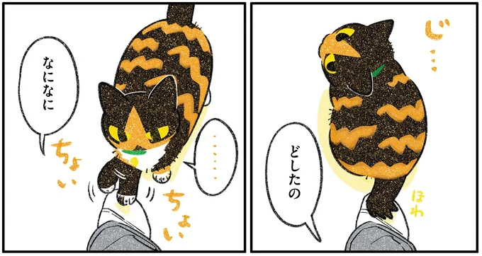 どしたの