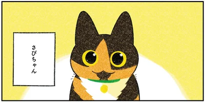 さびちゃん