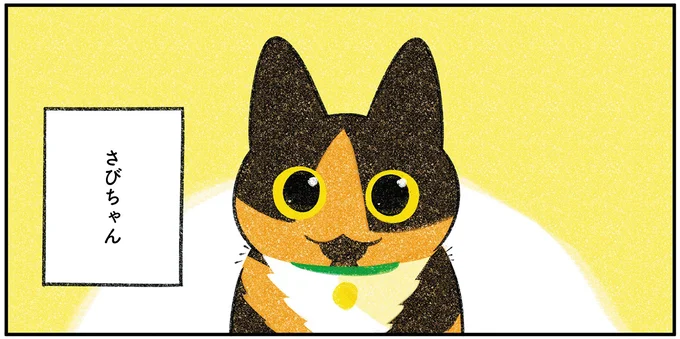 さびちゃん