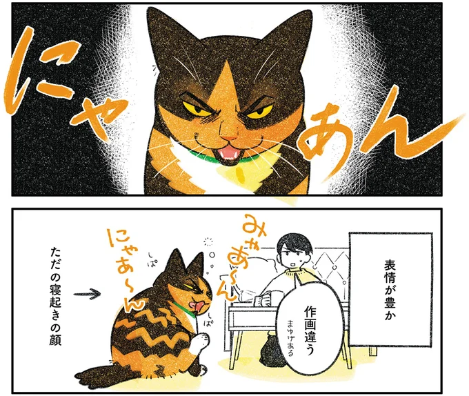 表情が豊か