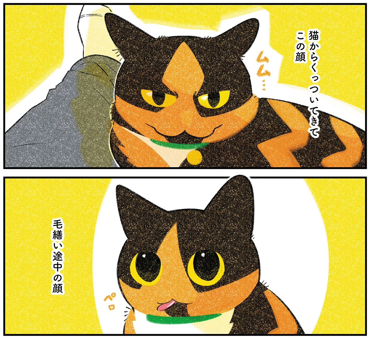 もはや作画が違う！ 見るたびに表情が変わる我が家の猫が愛おしい