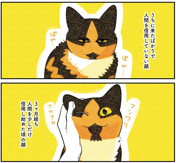 信用し始めた頃の顔