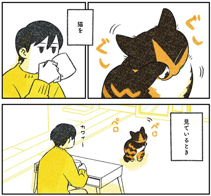 猫を見ているとき