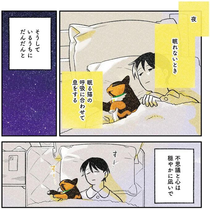 眠れないとき
