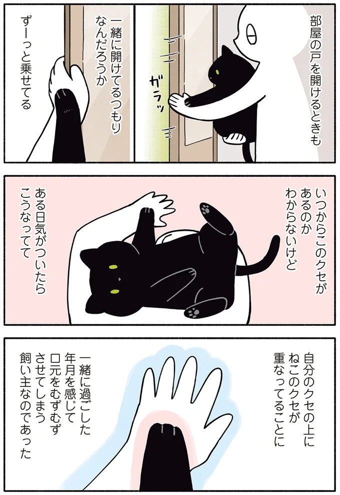 『黒猫ろんと暮らしたら２』より
