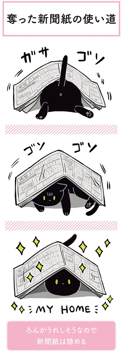 『黒猫ろんと暮らしたら２』より