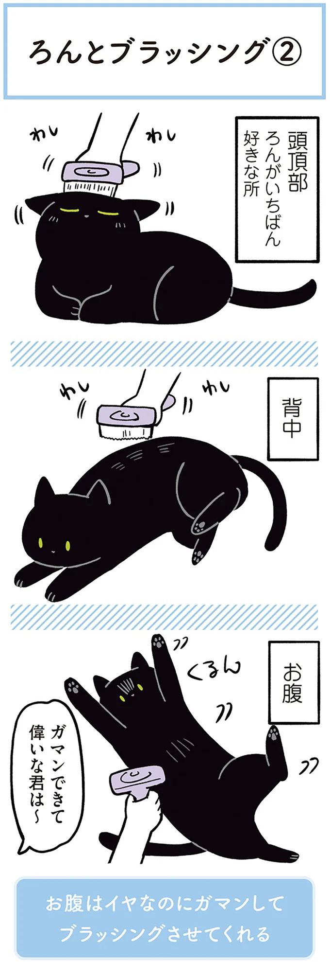 『黒猫ろんと暮らしたら２』より