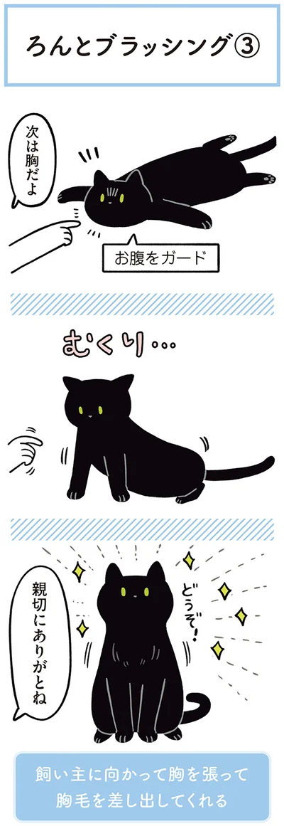 『黒猫ろんと暮らしたら２』より