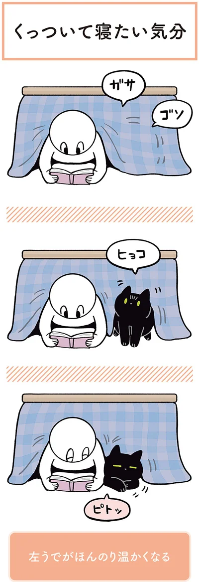『黒猫ろんと暮らしたら２』より