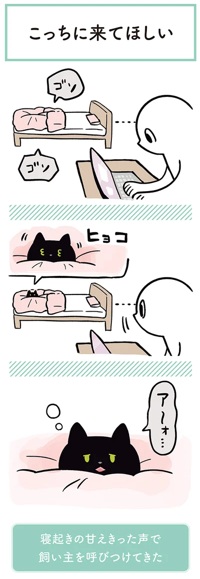 寝起きの甘えきった声で飼い主を呼びつけてきた