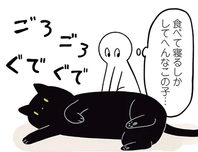 食べて寝るしかしてへんなこの子…