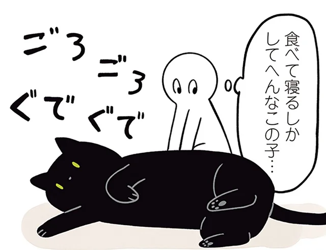 追いかけっこなら走るかな？運動不足が気になる黒猫ろん