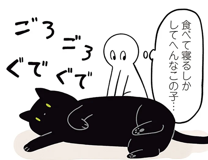 食べて寝るしかしてへんなこの子…