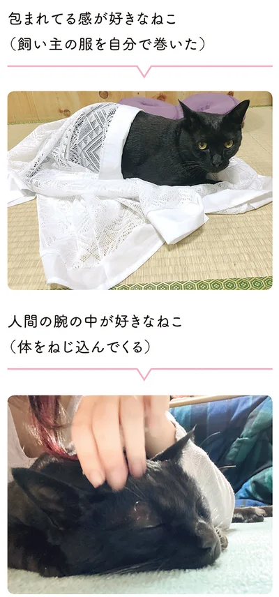 包まれてる感が好きなねこ