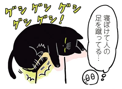 寝ぼけて人の足を蹴ってる…