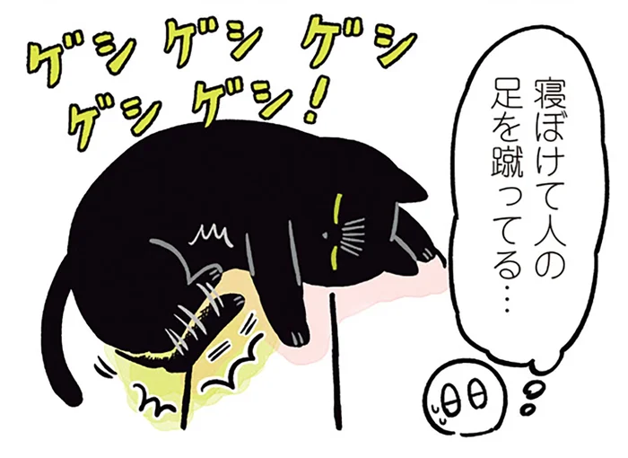 夢の中で何かと戦ってる？寝ぼけキックが止まらない黒猫ろん