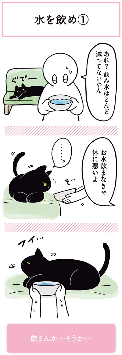 お水飲まなきゃ体に悪いよ