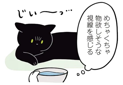めちゃくちゃ物欲しそうな視線を感じる