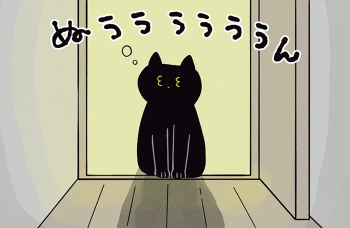 真夜中に現れた虫。飼い主の悲鳴で眠そうな黒猫ろんが出動！