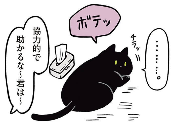 協力的すぎる黒猫ろん。ブラッシングも定位置で待機！