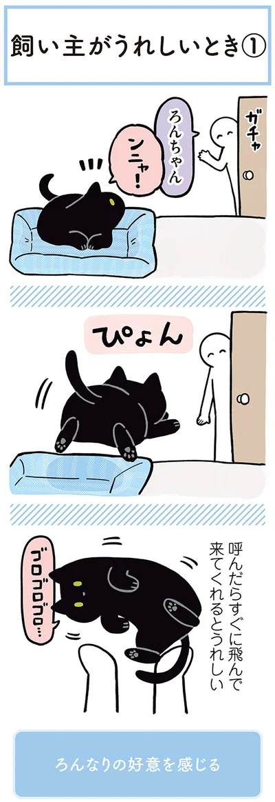 呼んだらすぐに飛んで来てくれるとうれしい