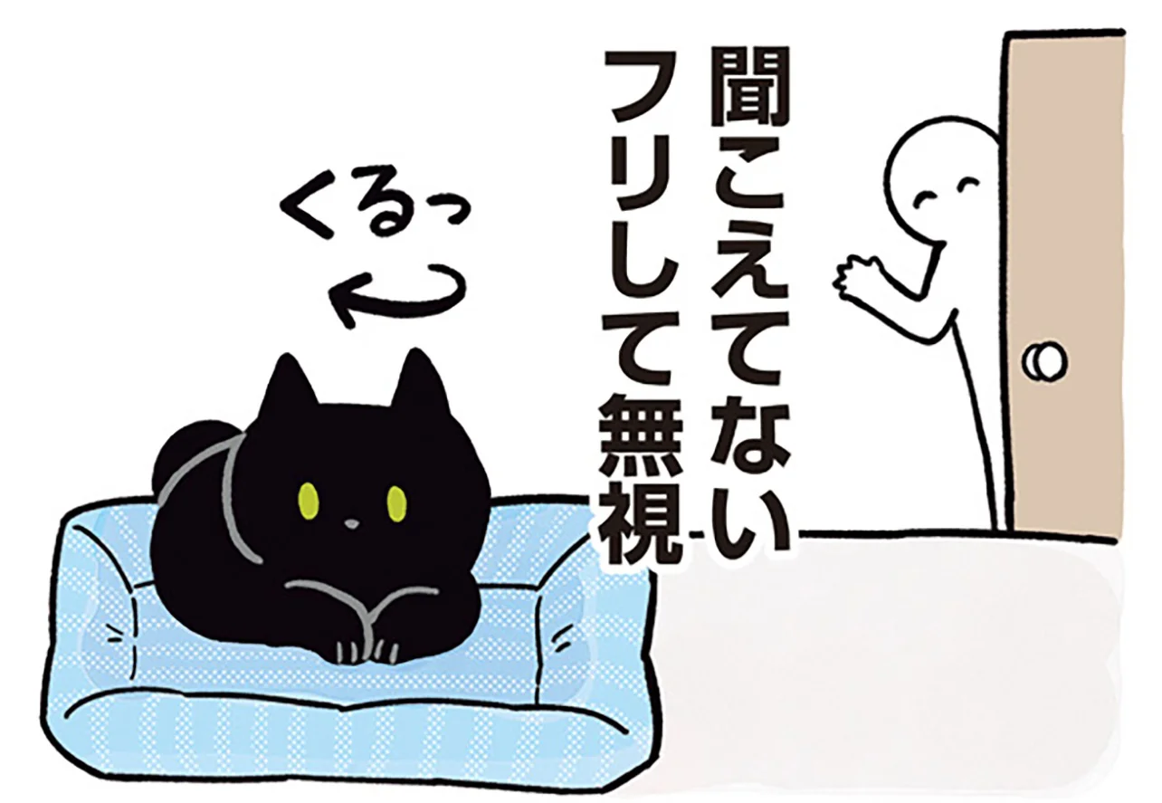 無視されたってうれしい！呼びかけへの反応が気まぐれな黒猫ろん