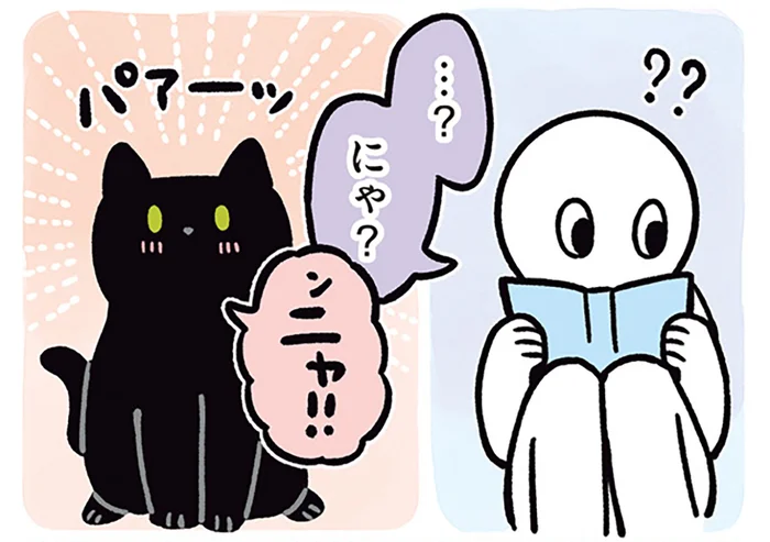 返事してくれてるの!?タイミング完璧な「ニャ！」を返す黒猫ろん