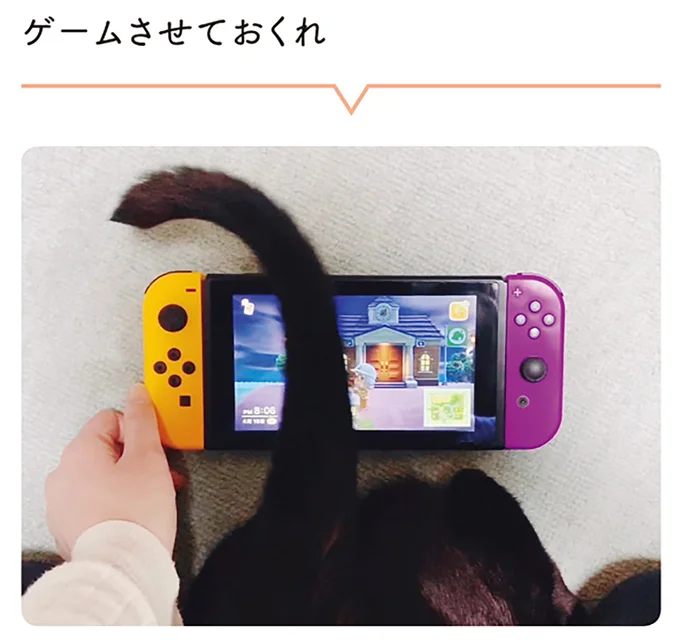 ゲームさせておくれ