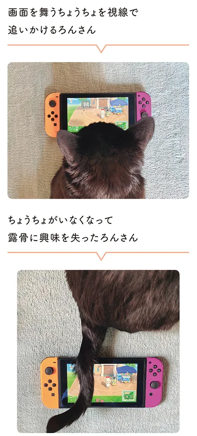 露骨に興味を失ったろんさん