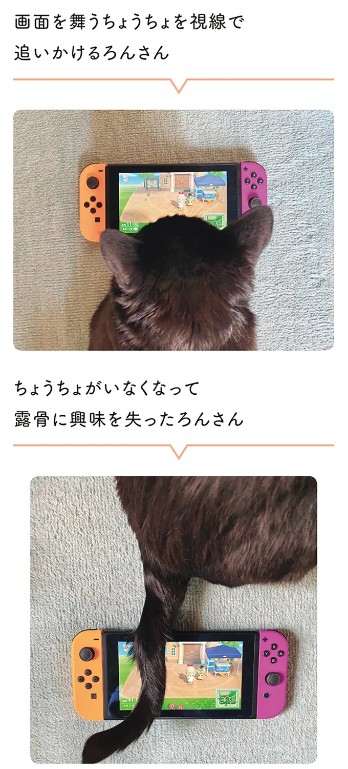 露骨に興味を失ったろんさん