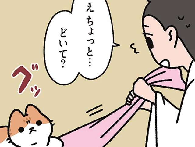 【天の羽衣とねこ】「え、ちょっとどいて」困る天女の元にやってきたのは