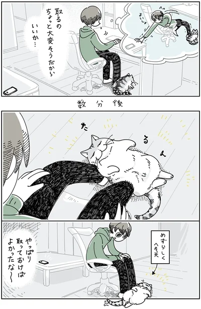 『夜は猫といっしょ5』より