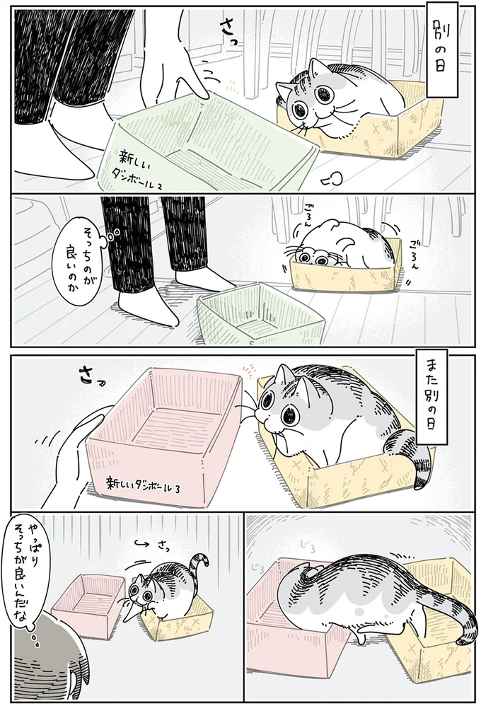 『夜は猫といっしょ5』より