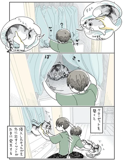 『夜は猫といっしょ5』より
