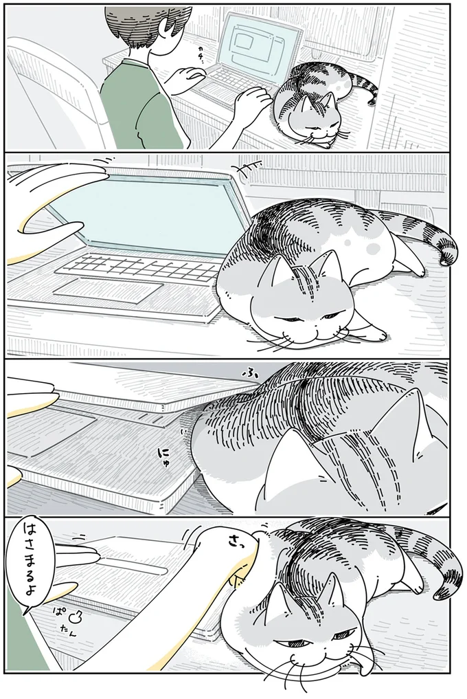 『夜は猫といっしょ5』より