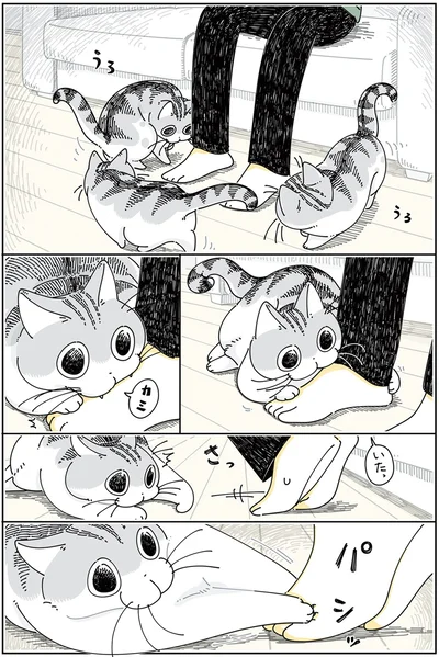 『夜は猫といっしょ5』より