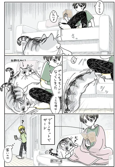 『夜は猫といっしょ5』より