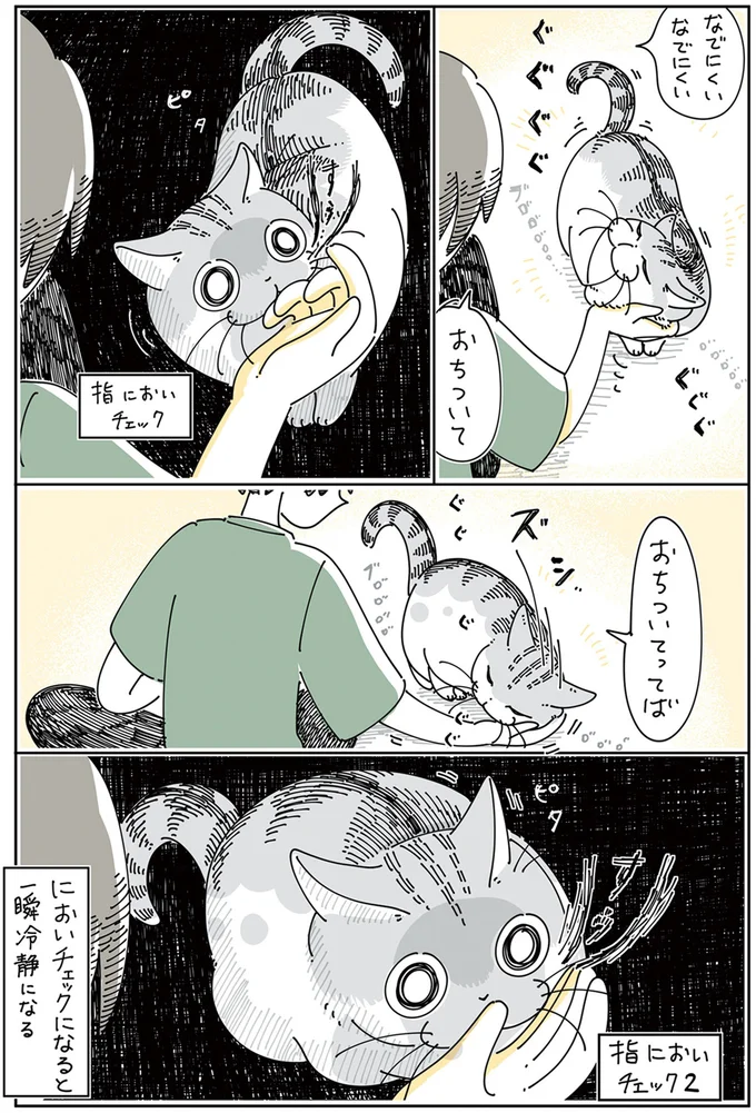 『夜は猫といっしょ5』より