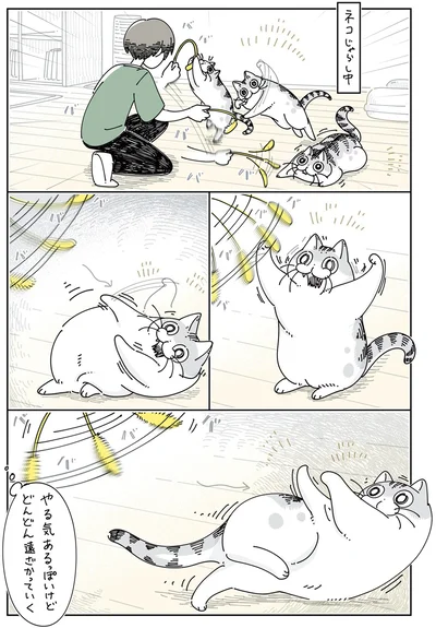 『夜は猫といっしょ5』より
