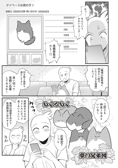  「レオとシロウのドタバタ猫日記」より