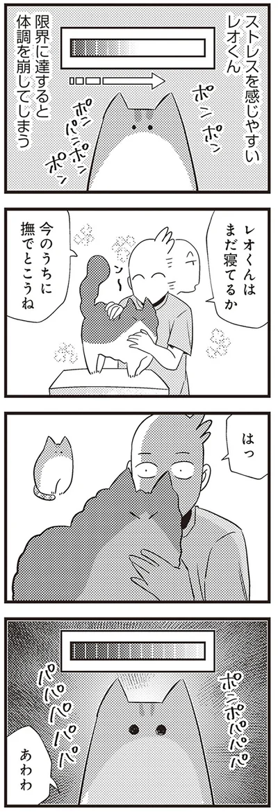  「レオとシロウのドタバタ猫日記」より