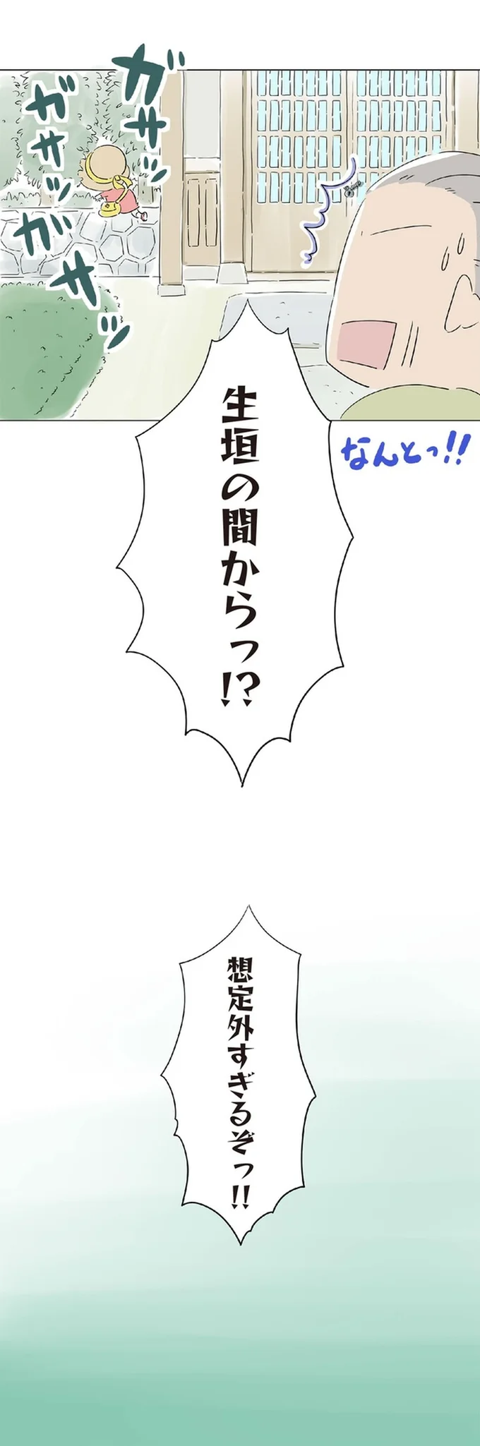 『ハルとゲン 70歳、はじめての子育て』より